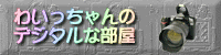 mybanner2.gif